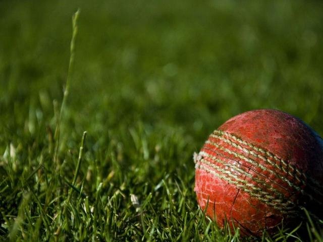 A worn cricket ball resting on the grass
