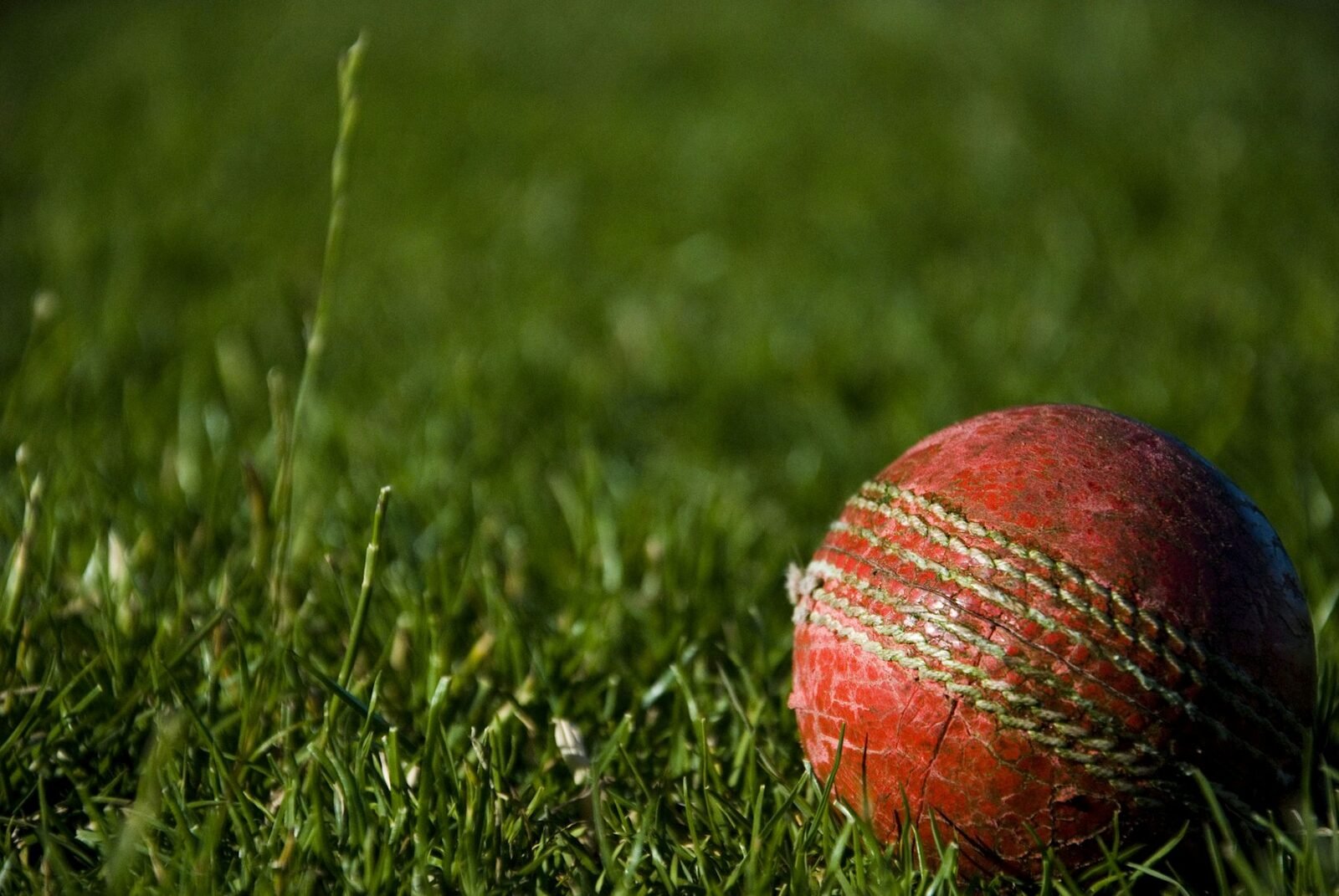 A worn cricket ball resting on the grass