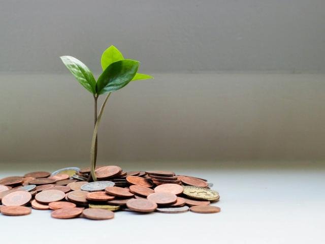 A seedling growing from a pile of coins
